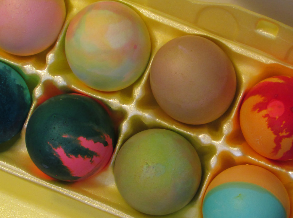 Colored Easter Eggs in a Carton Free Photo