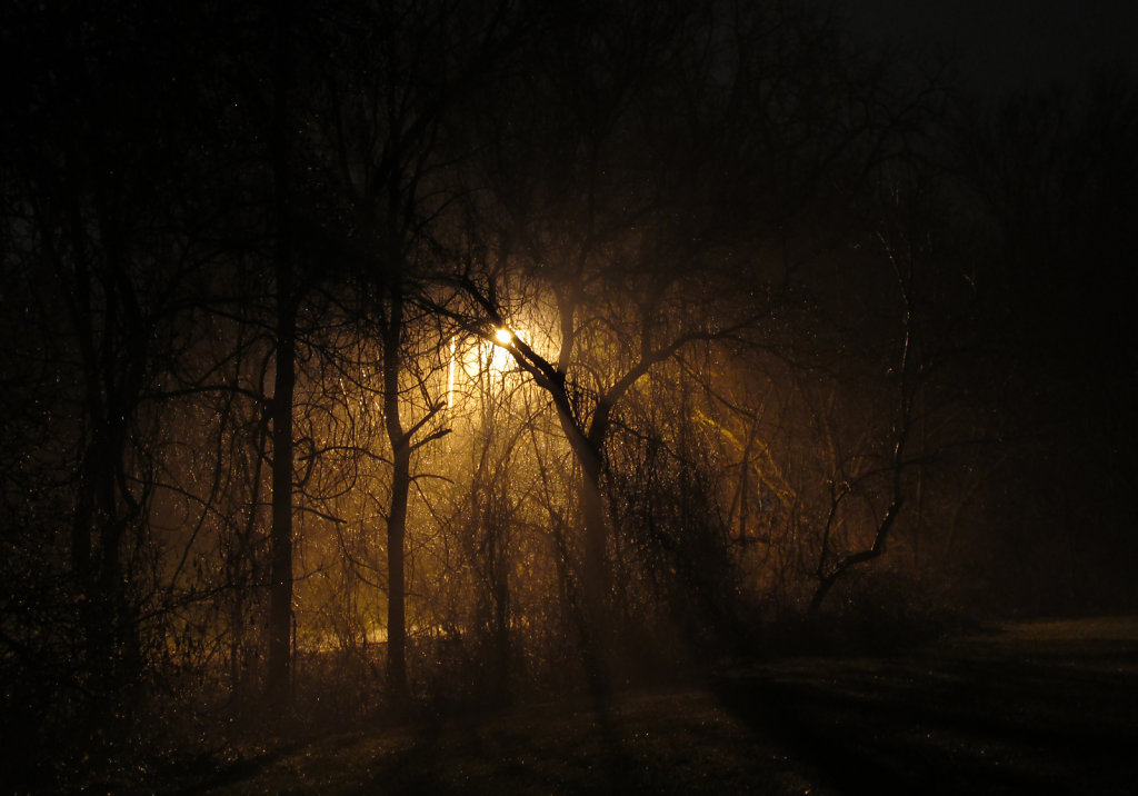Picture of dense fog with a street lamp light