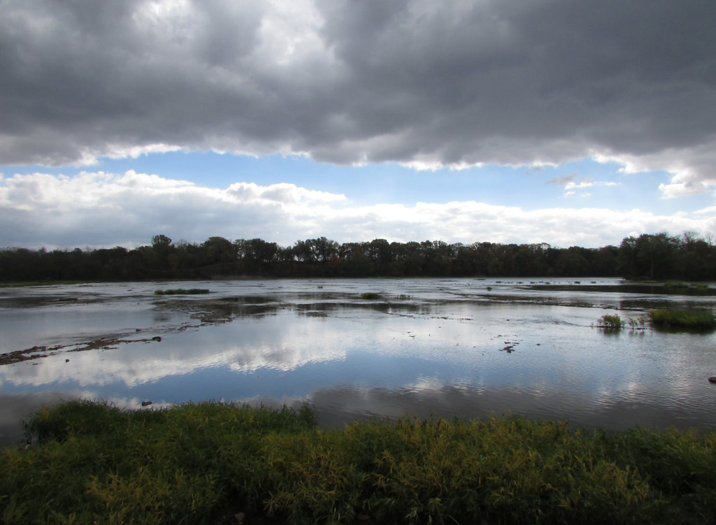 Wide shot of the river running through a metro park