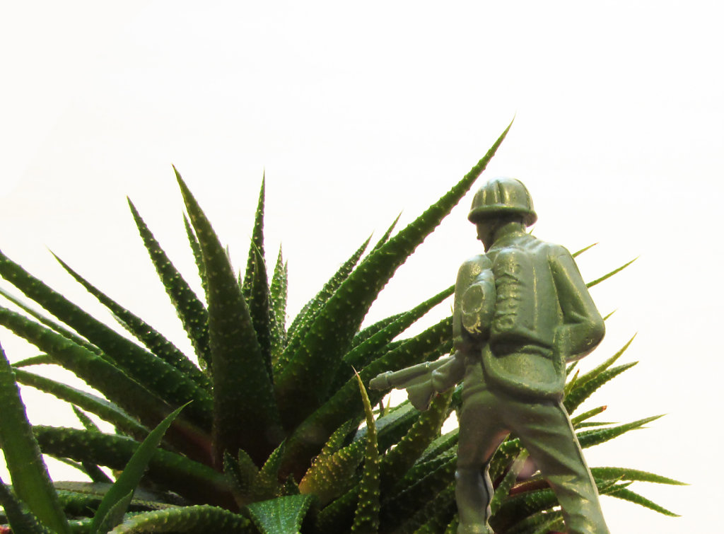 Still life image of a army soldier in aloe