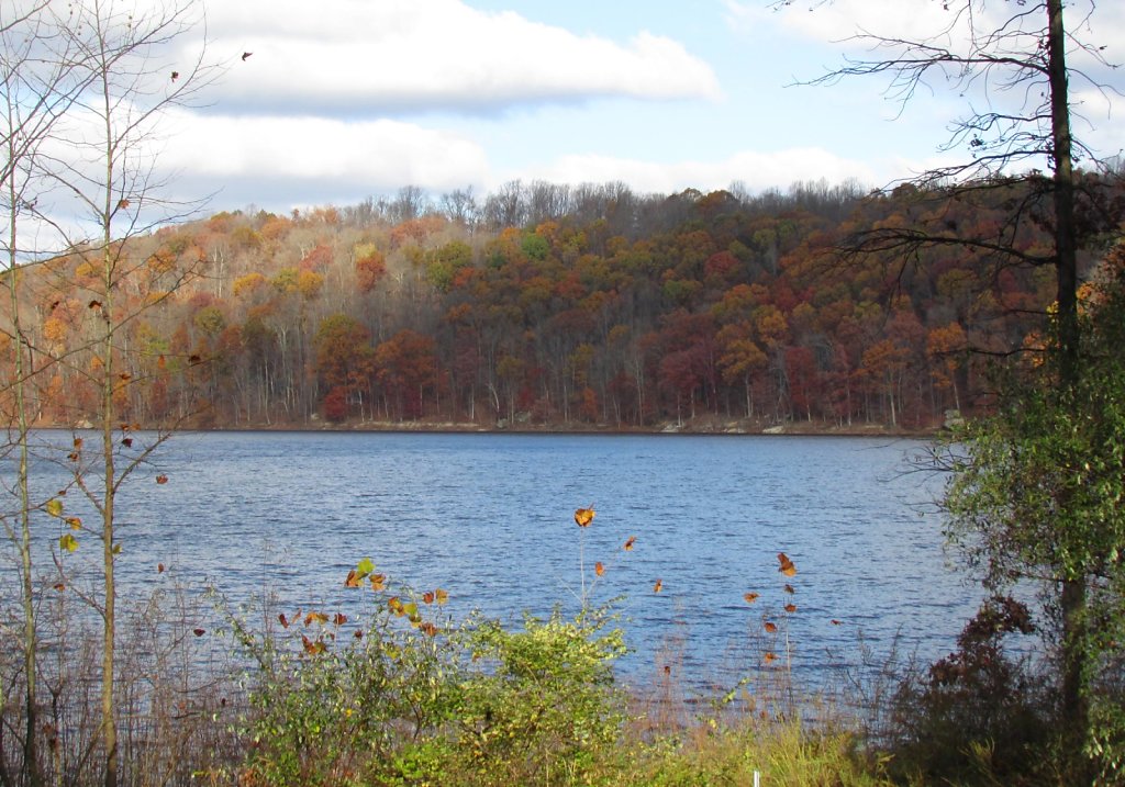 across the lake during fall