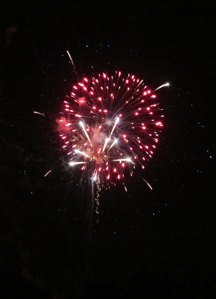 Plum of red fireworks
