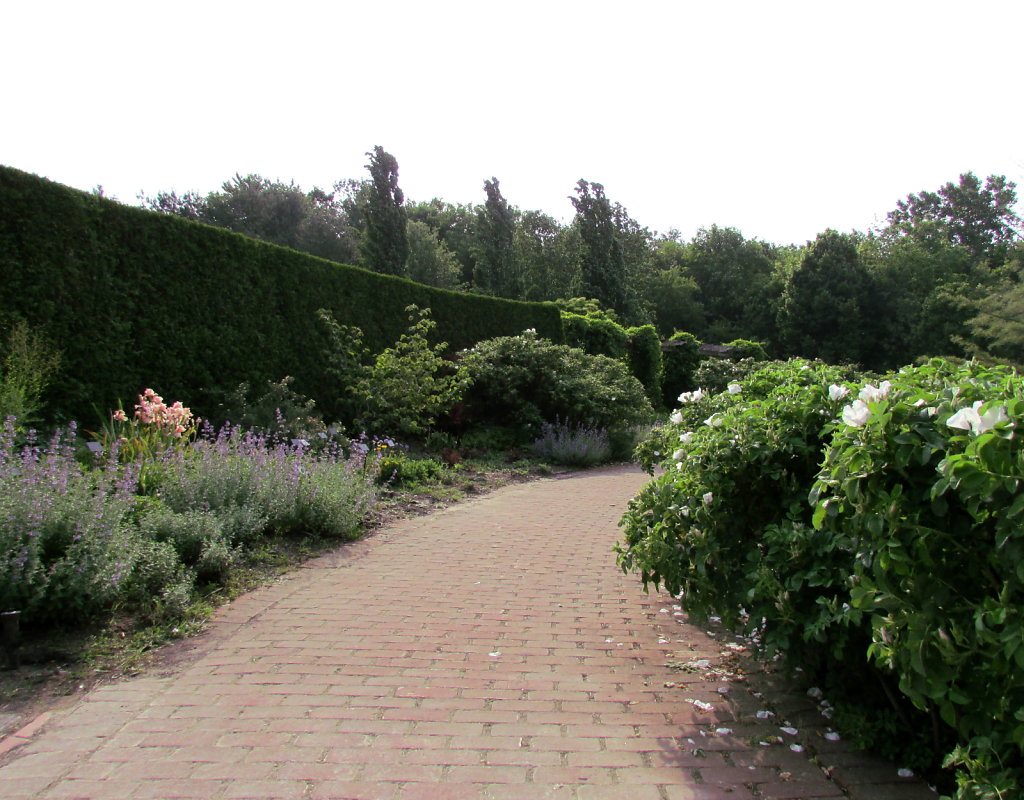 Brick path stock picture